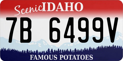ID license plate 7B6499V