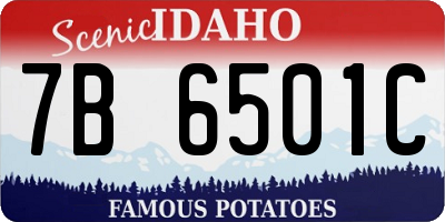 ID license plate 7B6501C