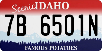 ID license plate 7B6501N