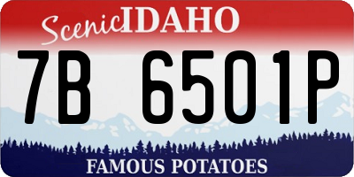 ID license plate 7B6501P