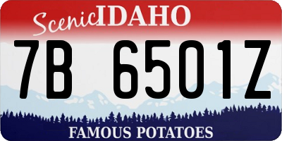 ID license plate 7B6501Z