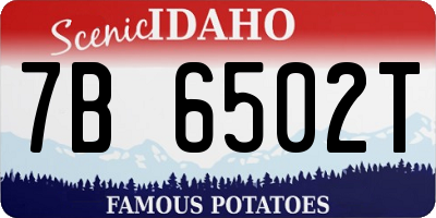 ID license plate 7B6502T