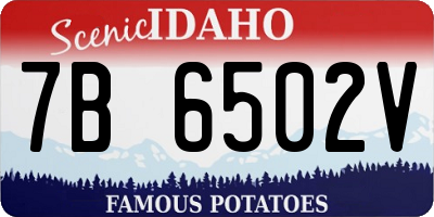 ID license plate 7B6502V