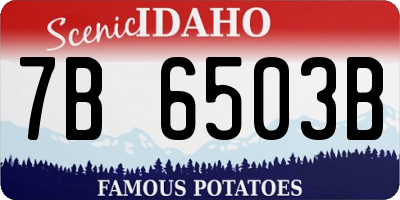 ID license plate 7B6503B