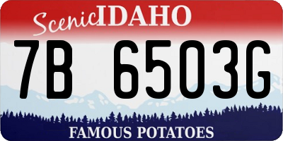ID license plate 7B6503G