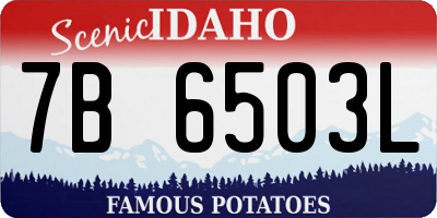 ID license plate 7B6503L