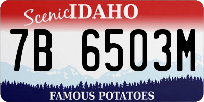 ID license plate 7B6503M
