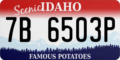 ID license plate 7B6503P