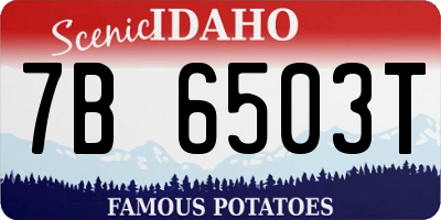 ID license plate 7B6503T