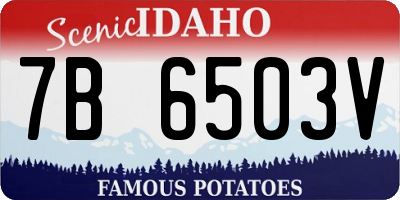 ID license plate 7B6503V