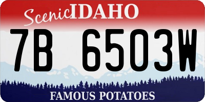 ID license plate 7B6503W