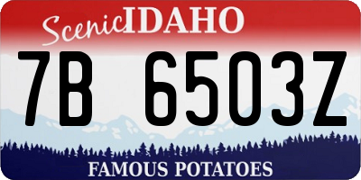 ID license plate 7B6503Z