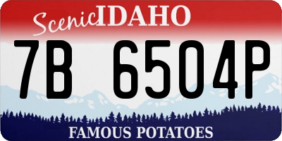 ID license plate 7B6504P