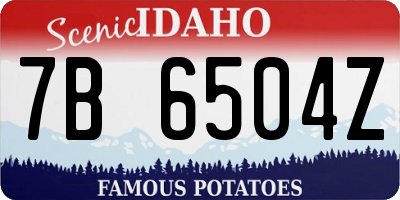 ID license plate 7B6504Z