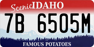 ID license plate 7B6505M