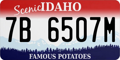 ID license plate 7B6507M