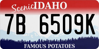 ID license plate 7B6509K