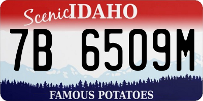 ID license plate 7B6509M