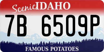ID license plate 7B6509P