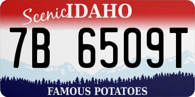 ID license plate 7B6509T