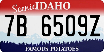 ID license plate 7B6509Z