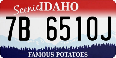 ID license plate 7B6510J
