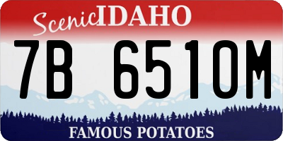 ID license plate 7B6510M