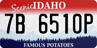 ID license plate 7B6510P