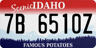 ID license plate 7B6510Z