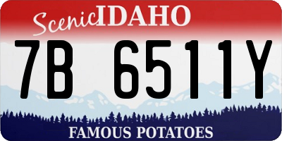 ID license plate 7B6511Y