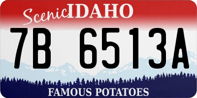 ID license plate 7B6513A