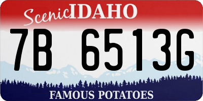 ID license plate 7B6513G
