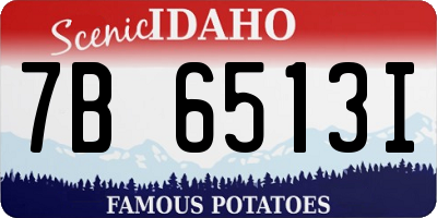 ID license plate 7B6513I