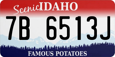 ID license plate 7B6513J