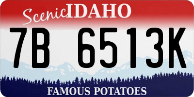ID license plate 7B6513K