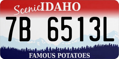ID license plate 7B6513L