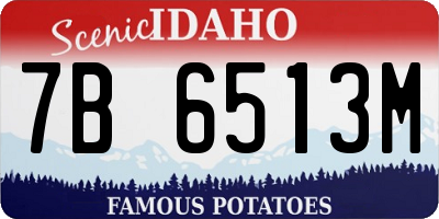 ID license plate 7B6513M