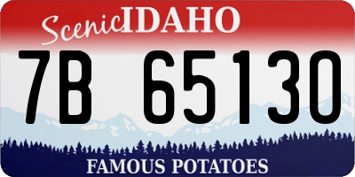 ID license plate 7B6513O