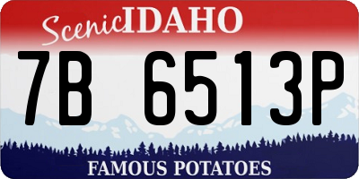 ID license plate 7B6513P