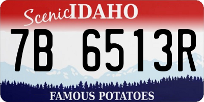 ID license plate 7B6513R