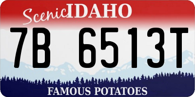 ID license plate 7B6513T