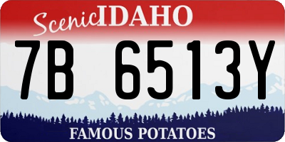 ID license plate 7B6513Y