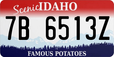 ID license plate 7B6513Z