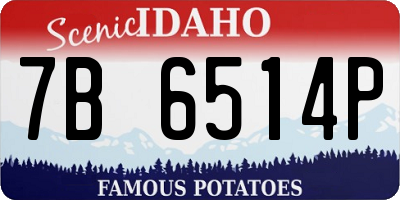 ID license plate 7B6514P