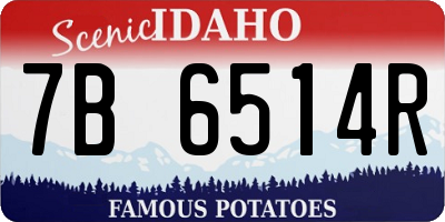 ID license plate 7B6514R