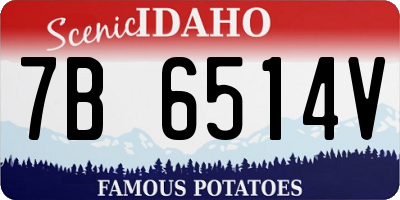 ID license plate 7B6514V