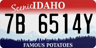 ID license plate 7B6514Y