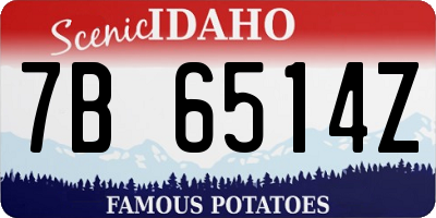 ID license plate 7B6514Z