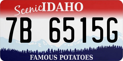 ID license plate 7B6515G