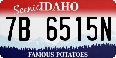 ID license plate 7B6515N